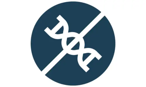 veganic hair oil Vegan